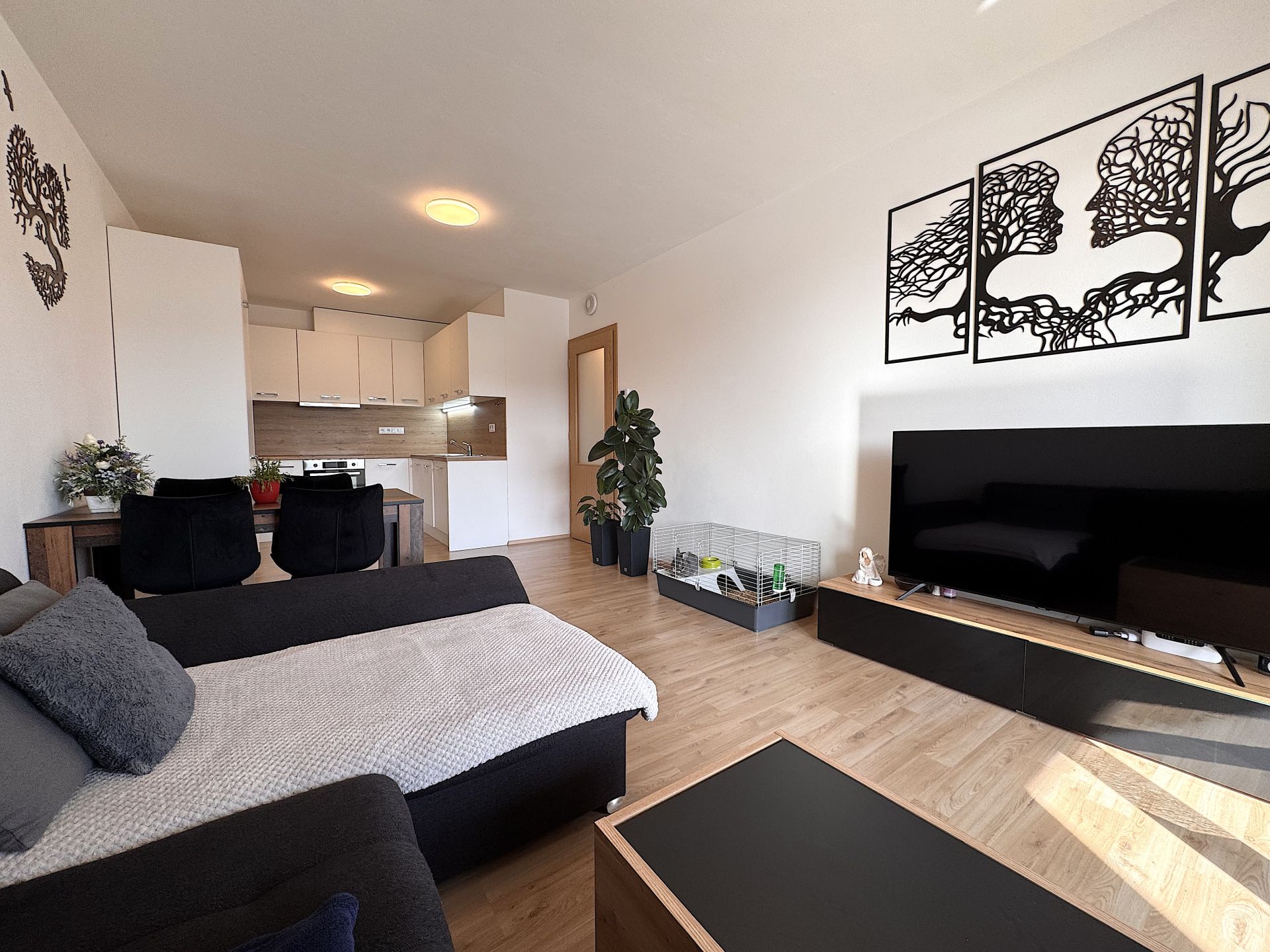 byt 2+kk, ul. Hybešova, Boskovice