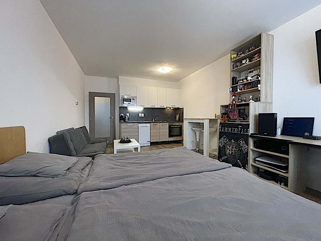 byt Turgeněvova, Brno - Černovice